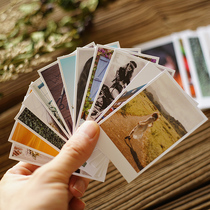 Washing photo LOMO photo DIY photo album photo laser printing Polaroid mobile phone photo sun brush 3 inch 4 inch 4 inch