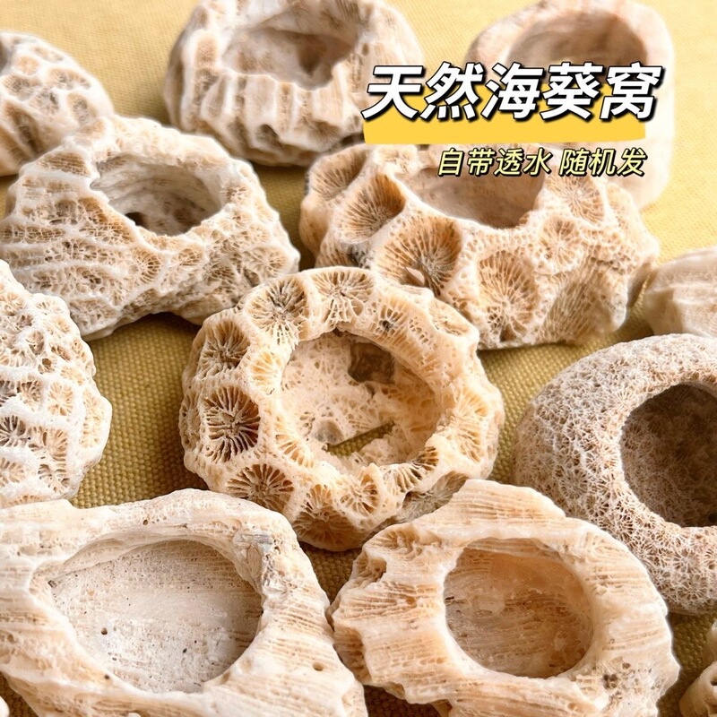Anemone Nest, Pacifier Nest, Clownfish Nest, Special for Small Aquariums, Natural and Beautiful Coral to Prevent Fish from Escaping, Hand-Carved Anemone Nest, Pacifier Nest, Clownfish Nest, Special for Small Aquariums, Natural and Beautiful Coral to Prevent Fish from Escaping, Hand-Carved