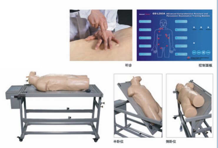 正品直销-高级综合穿刺术与叩诊检查技能训练模拟人