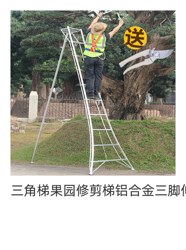 Triangle terraced orchard pruned terraced aluminium alloy three-foot telescopic ladder gardening ladder to be taken off green garden terraces extra-long 7 m