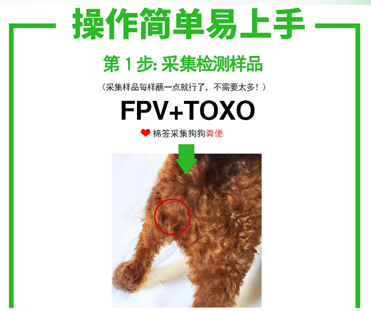 Chỉ có mèo giấy thử nghiệm Zhuo 瘟 thẻ thử nghiệm phát hiện virus thẻ FPV mèo Toxoplasma thẻ thử nghiệm vật nuôi đứng - Cat / Dog Medical Supplies 	các loại kim tiêm thú y	