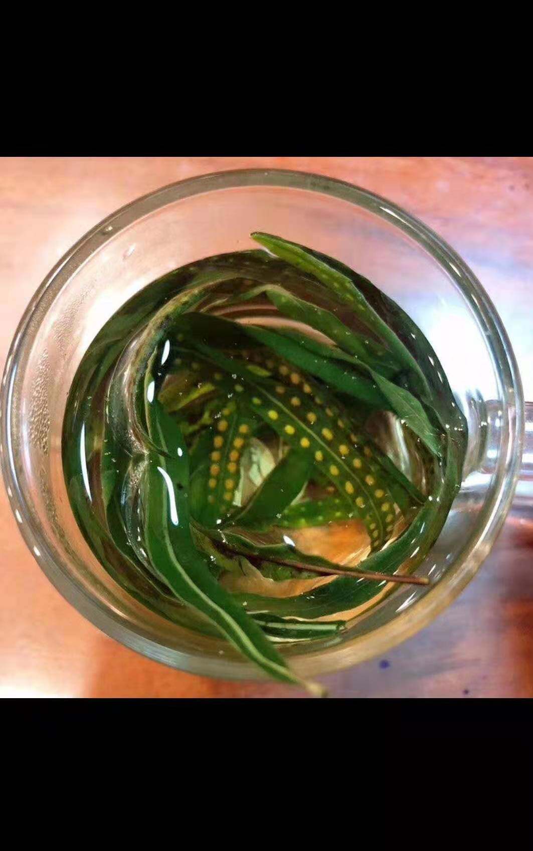 Stone Reed Kidney Essence Tea 100g Dry Cargo-Taobao