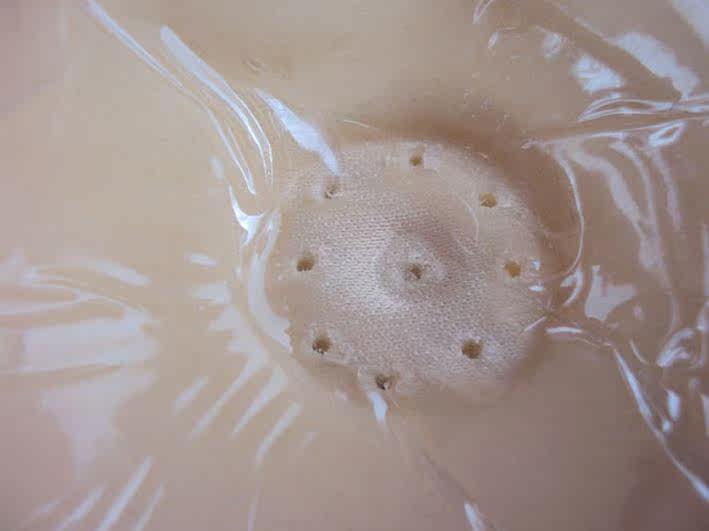 Soutien-gorge discret jeunes femmes 100% B01 - Ref 786501 Image 7