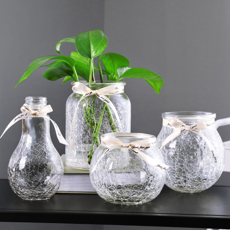 客厅北欧水培玻璃花瓶透明花器百合富贵竹满天星干花小插花瓶摆件 实用礼物推荐 始料不及礼物网