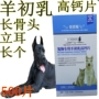 Dadan dog canxi viên chó con trưởng thành ăn bột canxi động vật xương dài thuốc dài con chó con dinh dưỡng - Cat / Dog Health bổ sung 	sữa cho mèo mới sinh