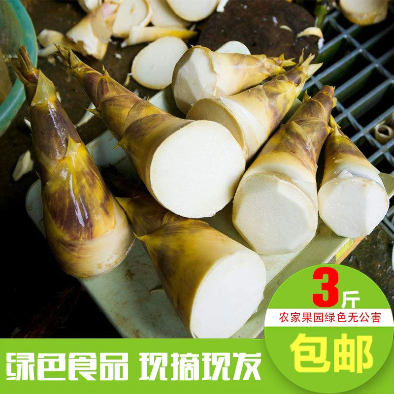 福建漳州新鲜绿竹笋马蹄笋:夏日清凉解腻的脆嫩甘甜,一口一个爽!🌿🍴-竹笋-淘宝好物网