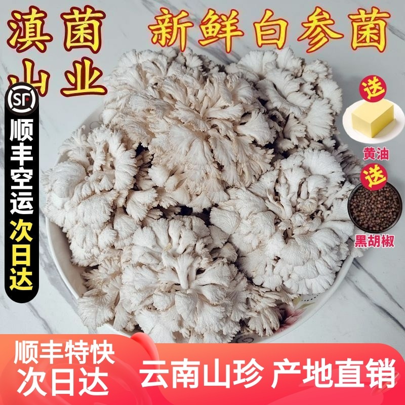 White ginseng, fresh Yunnan seasonal mushrooms and vegetables