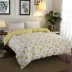 Cotton 100% cotton chăn đơn single đôi chăn 200x230 1,5 m 1,8 m cộng với giường vải lanh - Quilt Covers