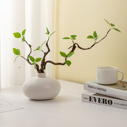 Artificial Fresh Green Plants, Fake Plants, Living Room Indoor Flower Arrangements, Hotel Table Decorations, Soft Furnishings, Flowers