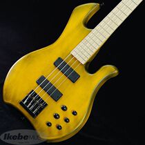 Mark Bass MB KILIMANJARO 4 Italian handmade electric Bass RICHARD BONA