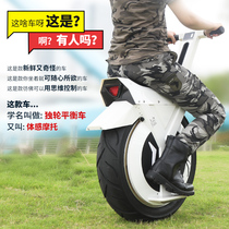 Moto unique Wheel Moto Single Wheel New Balance Motor High Speed Electric Vehicle Adult Step to Work Cross Country Student Tire 22 Inch 17