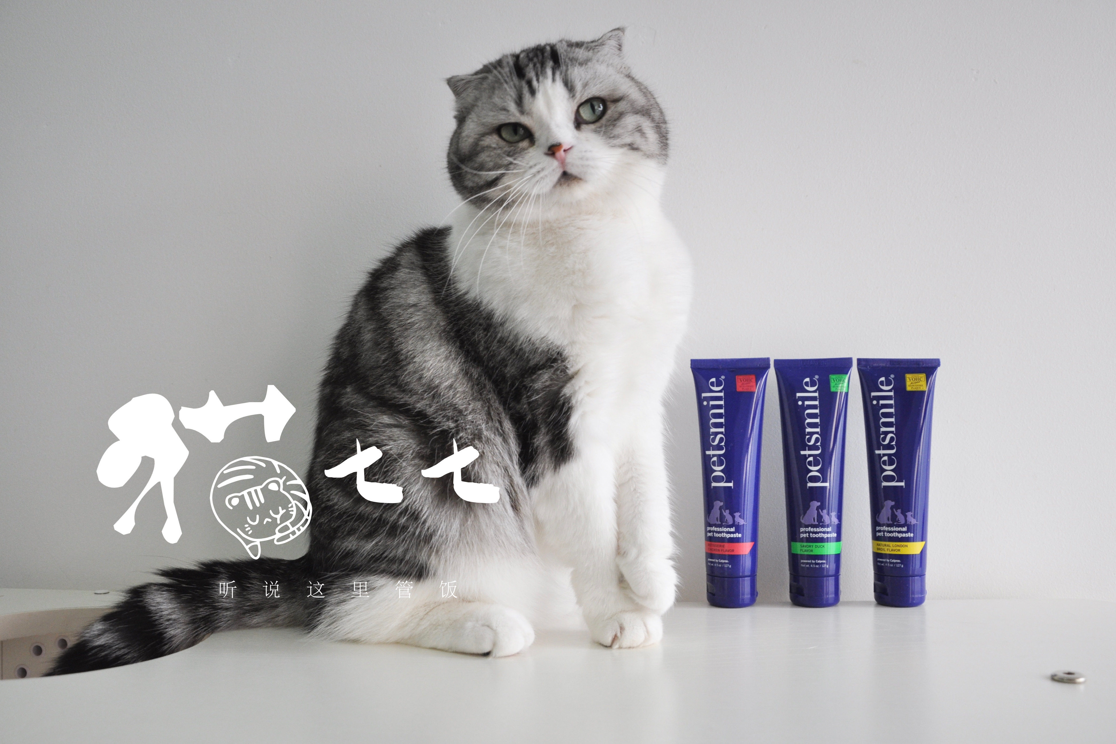 Cat Seven Seven American Petsmile Pet Toothpaste Cat Dog Universal Removal of Dental Stones Oral Odor Edible