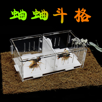 Cricket bucket grid Cricket bucket grid Acrylic bucket grid Transparent bucket grid Insect utensil with cover bucket grid Cricket fighting factory
