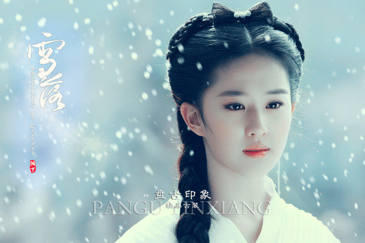 Extension cheveux - Chignon - Ref 239593 Image 12