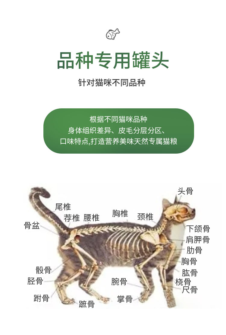 布偶猫专用三文鱼鸡肉训练罐头10罐