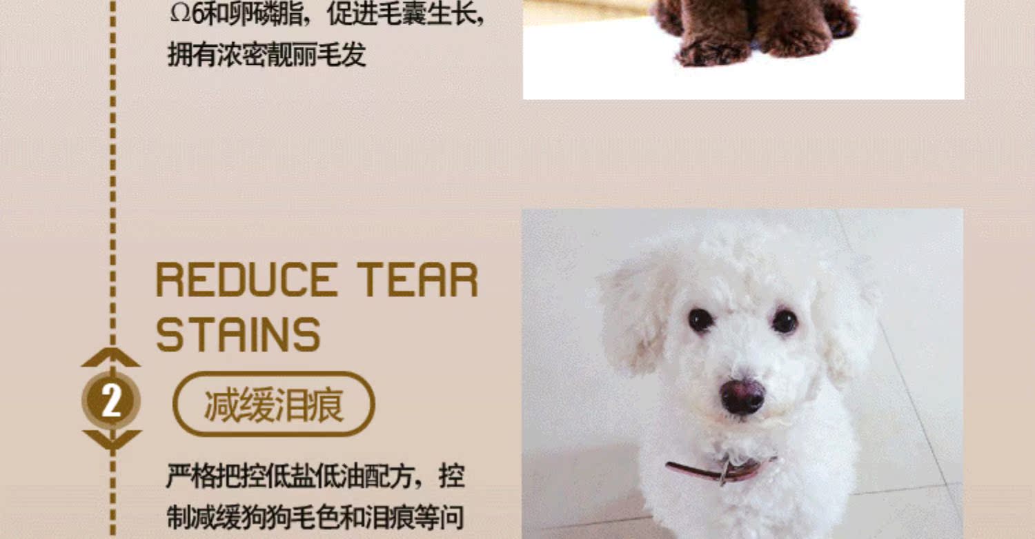 Thú cưng khi bắt đầu cho chó Teddy thức ăn đặc biệt cho chó 5 kg vào một sợi lông phổ quát để xé rách thức ăn cho chó con tằm - Chó Staples sữa royal canin