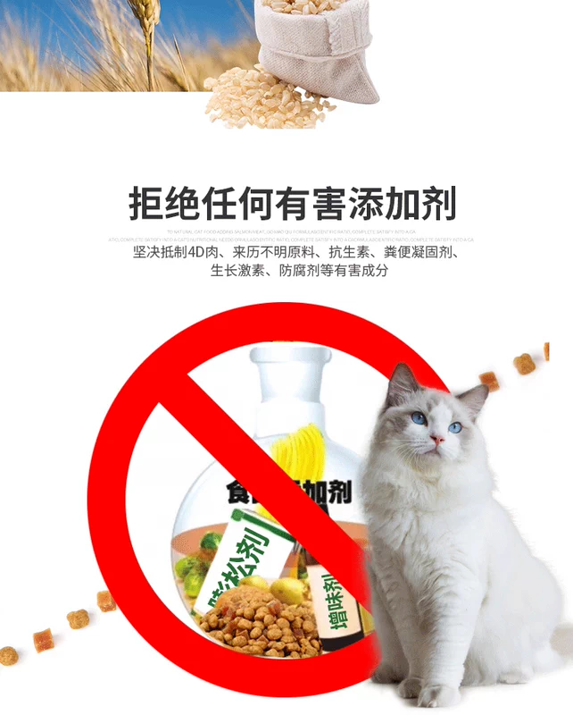 Chó con mèo đặc biệt thức ăn cho mèo vật nuôi đầu tiên cá giống mèo nhỏ mang thai 1,5kg mèo Bradore thức ăn chủ yếu tự nhiên hạt catsrang cho mèo con