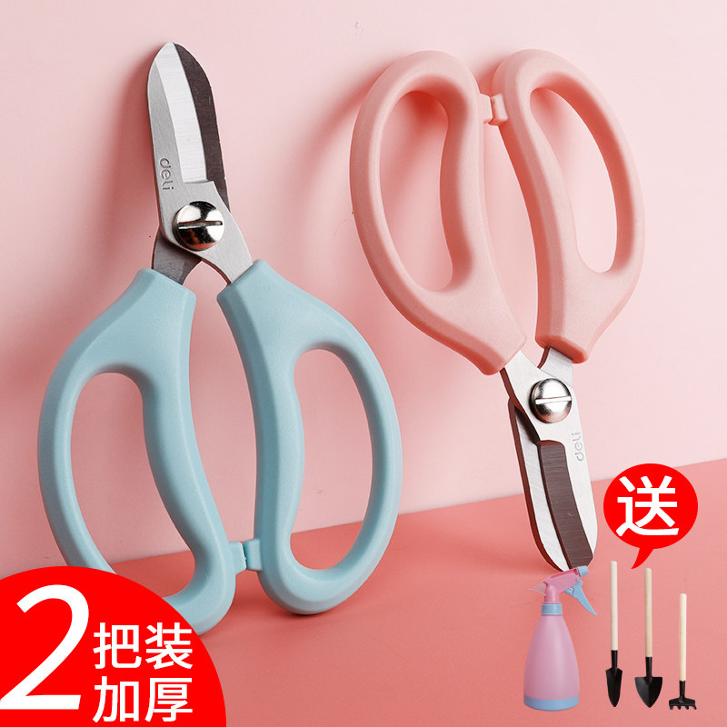 Deli Floral Scissors Flower Scissors Gardening Pruning Pruning Shearing Special Flower Trimming Scissors Flower Trimmer Home Flower Branch Flower Toolkit Branch Pruning Flower Artist Pruning Plant Florist Flower Arrangement