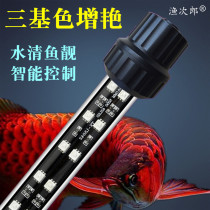 Intelligent timing fish cylinder light led diving light dragon fish special tube water Lighting light waterproof