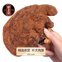 Earth Emperor Red Ganoderma Lucidum 250g Selected Semi-wild Ganoderma Lucidum Red Zhi Linzhi whole branch