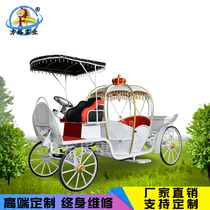 Custom Electric Pumpkin Wagyu Wedding Royal Wagyu Scenic Area Real Estate Christmas Pumpkin Carriage