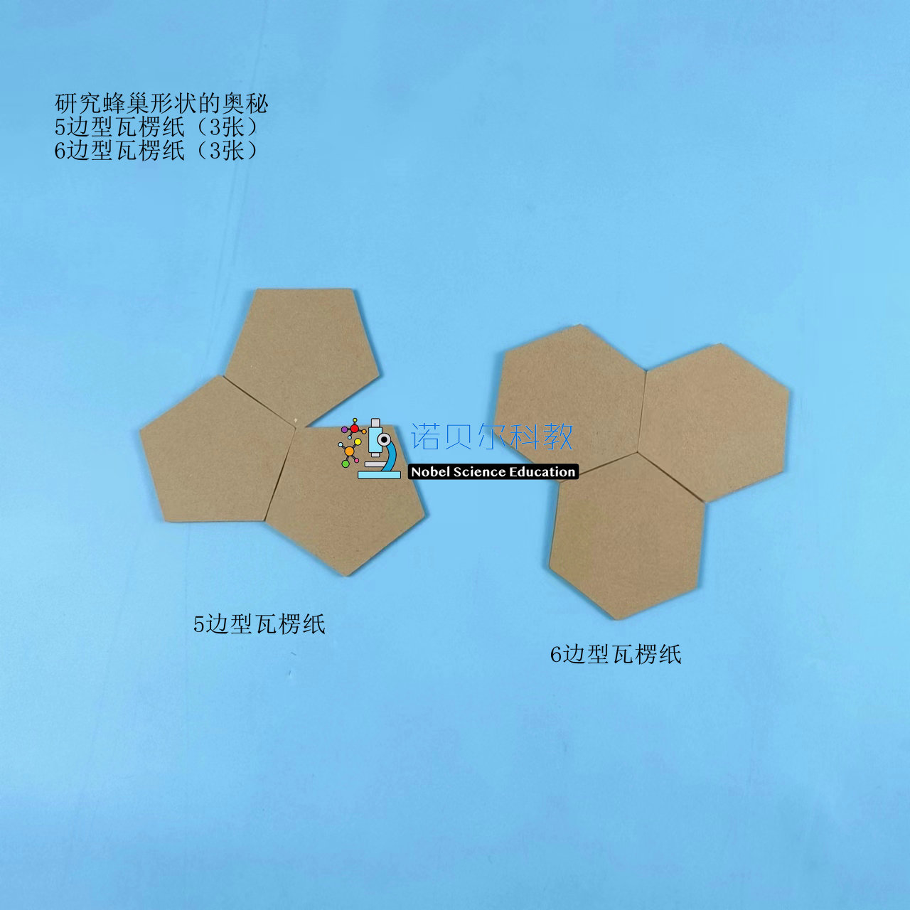 研究蜂巢形状的奥秘，诺贝尔科教器材，5边型和6边型瓦楞纸