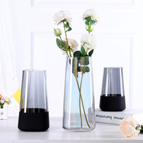 Simple creative glass vase Water Training Nordic Living Room Dry Flower Garlet Frosted Septuous Decorative Fittings