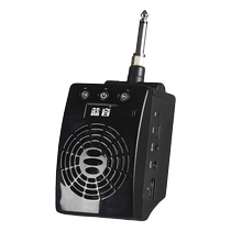 Lanyin Q9 electric blowpipe portable small speaker musical instrument dedicated wireless amplifier built-in recording flute erhu guitar speaker