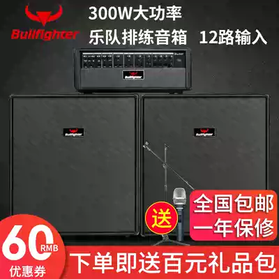 Matador 300W electric guitar sound bass performance band rehearsal multi-function speaker keyboard two-piece speaker