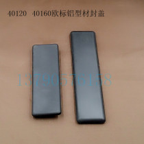 40120 40160 European label closure aluminium profile fitting closure end cover cover plate aluminium profile end cover