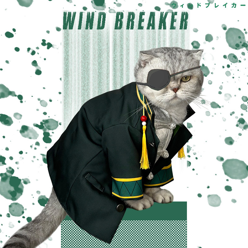 🐾 Super cute wind chime pet cosplay costume! su fang falcon flying cat  outfit + boy