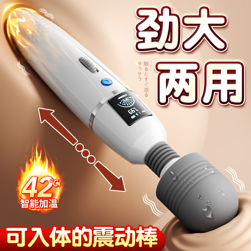 Massageur Vibrant Puissant
