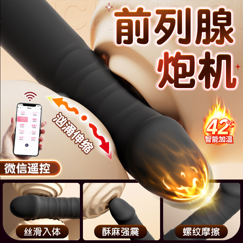 Prostate Massager Vibrator