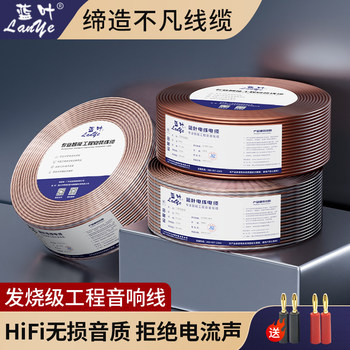 Pure Copper Core National Standard Audio Cable 100 200 300 400 600 Core Speaker Surround Home Decoration Engineering Speaker Cable