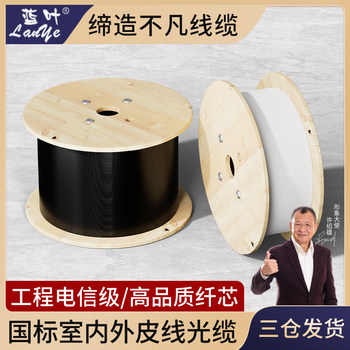 National Standard Fiber Optic Cable Outdoor Indoor Fiber Optic Cable 1 Core 2 Core 4 Core Single-Mode Outdoor Extension Fiber Optic Cable Entry Cable