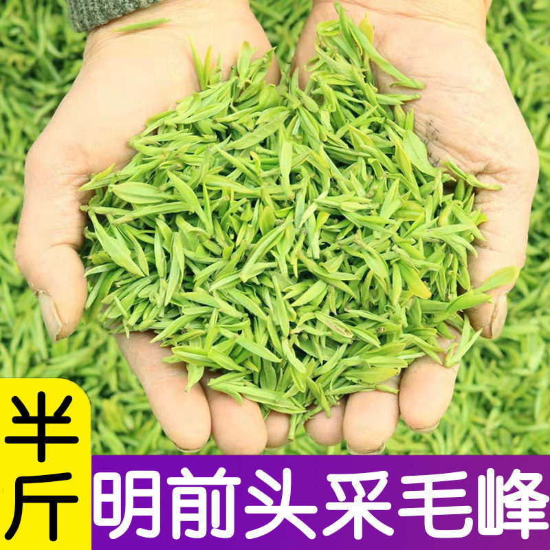 2021 new tea green tea High Alpine Huangshan Mao Peak Head of the Ming Ming Mao Jian Tongue Thick and Artisanal Gift Box