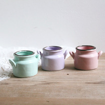 Macaron color ceramic mini everlasting flower floral decoration