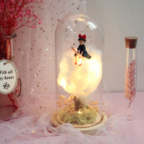 Handmade witch Taqibin DIY eternal flower material package Night light Crystal light
