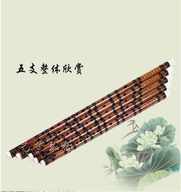 Một cây sáo g t f sáo sáo trúc sáo trúc sáo mới bắt đầu mua một tặng năm phụ kiện - Nhạc cụ dân tộc tiêu trúc