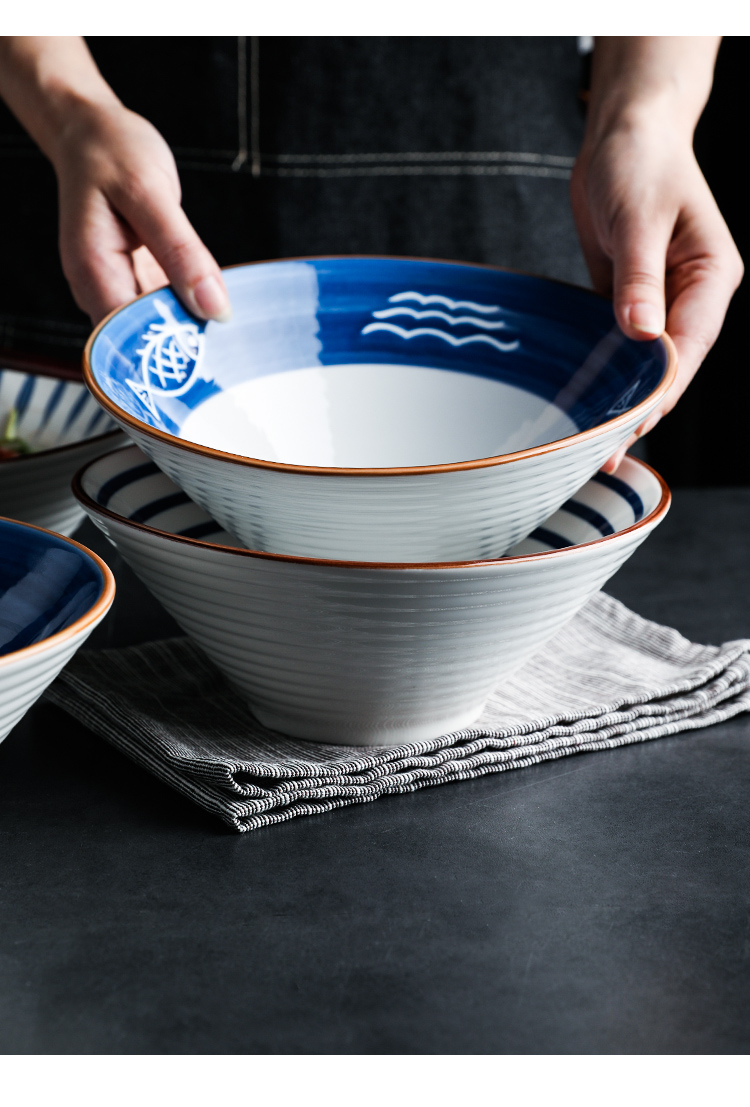 Shed in Japanese largest beef noodles in soup bowl of household ceramics rainbow such use pasta noodles rainbow such to use retro fruit salad bowl