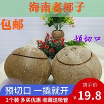 Hainan Fresh Old Coconut Pre-opened Cut Coconut Covered Coconut Stewed Soup Coconut Jelly 2 Packs