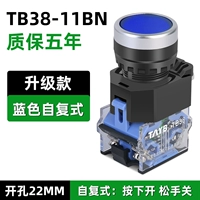 TB38 Flat Head Clote Reset Blue