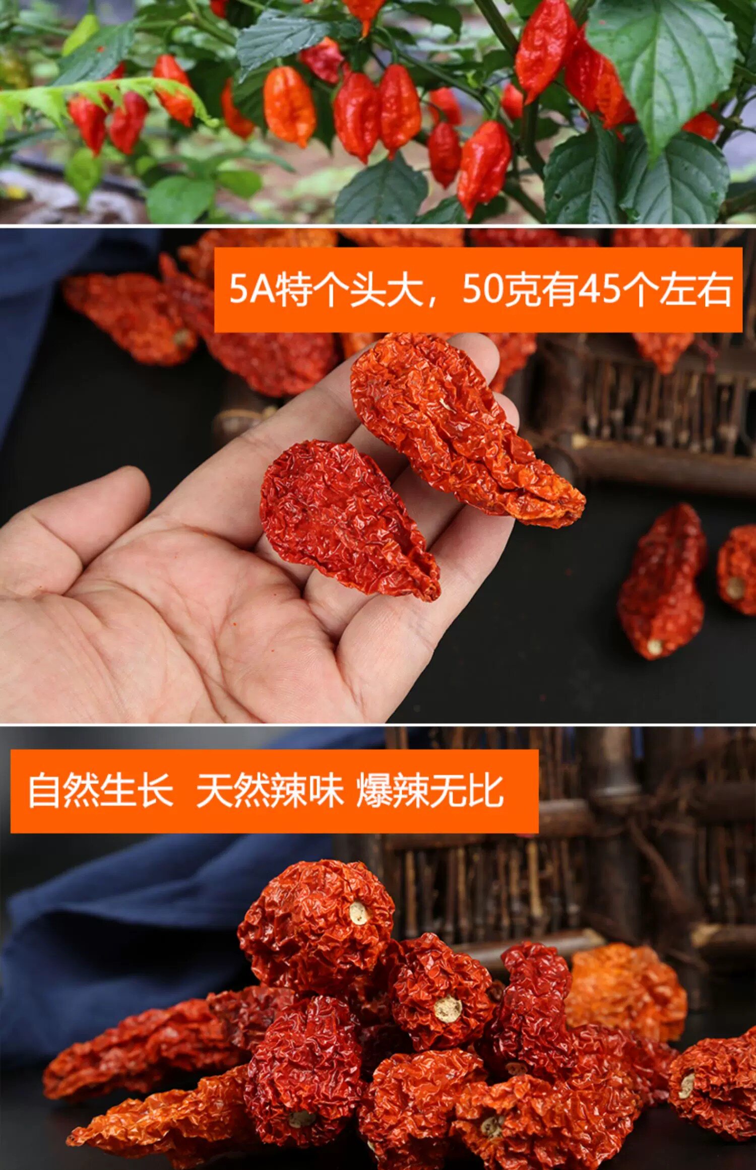 安享好物 安享S级干辣椒-忆乡莲魔鬼涮涮辣  