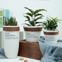 Happiness Tree Living Room Large Flower Pots Ins Nordic Modern Style New Pint Minimyo Creative Interior Personality White Potted Plants