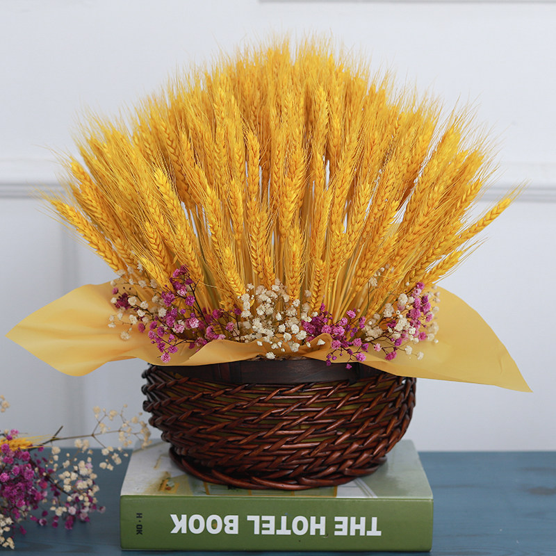 Natural barley bouquet opening wheat ear drying flower living room pastoral decoration decoration drying flower flower arrangement shooting flower basket props