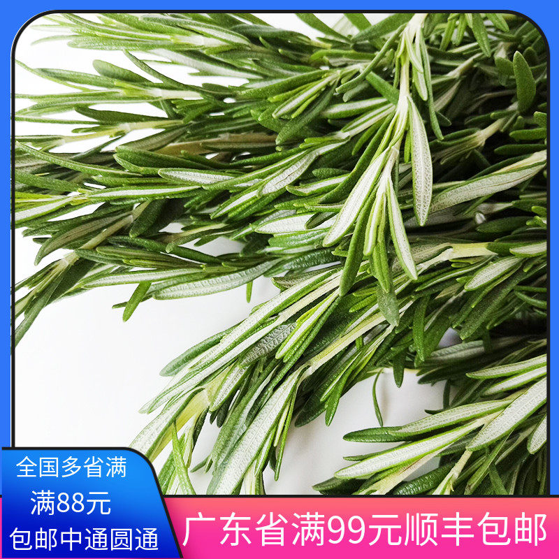 Spice Rosemary ROSEMARY Fresh Vegetables Western Spice ROSEMARY 100g servings