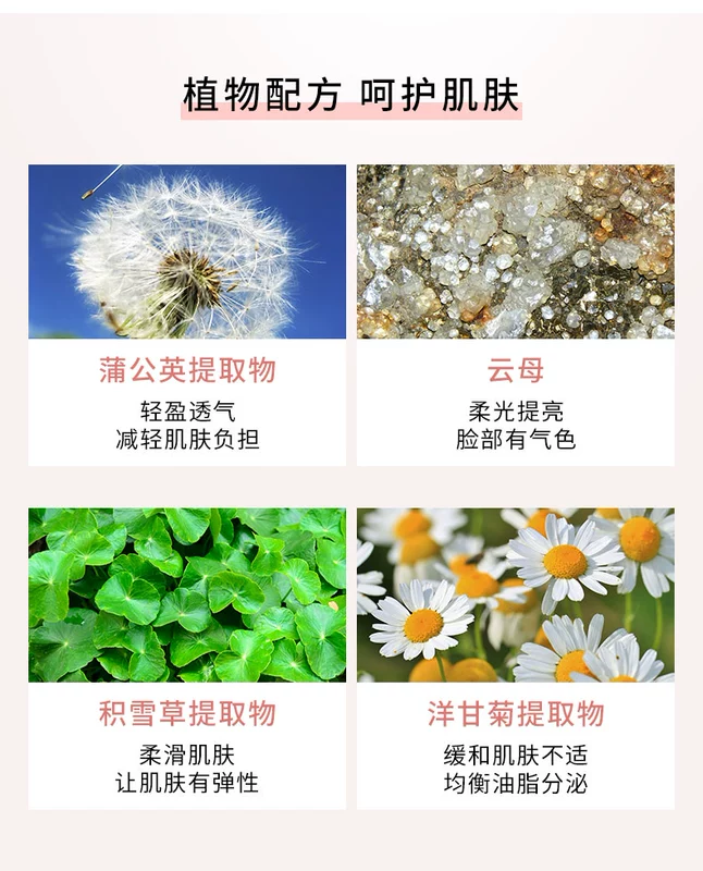 Zhiyouquan Dandelion Loose Powder Không thấm nước, chống mồ hôi, kiểm soát dầu, che khuyết điểm lâu trôi, phấn trang điểm dưỡng ẩm - Quyền lực