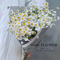 Art Little Fresh Dry Flower Rudenbird True Flower Japanese Chrysanthemum Flowers decorated with flower arrangement photo-nets red flowers