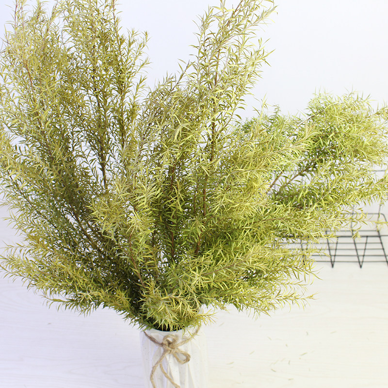 Thousands of gold dry flowers dreamy dry branches natural real flowers Yunnan straight hair decoration wall-mounted accessories flower arrangements for flower arrangements