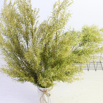 Thousands of gold dry flowers dreamy dry branches natural flowers Yunnan straight hair decoration wall-mounted accessories flower arrangements for flower arrangements